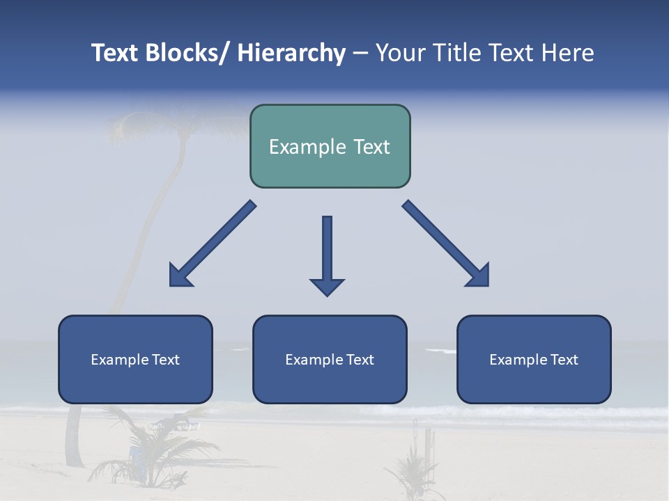 A Palm Tree On A Beach With The Ocean In The Background PowerPoint Template