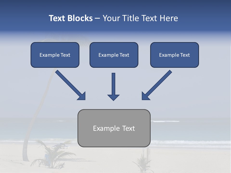 A Palm Tree On A Beach With The Ocean In The Background PowerPoint Template
