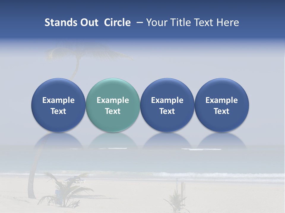 A Palm Tree On A Beach With The Ocean In The Background PowerPoint Template