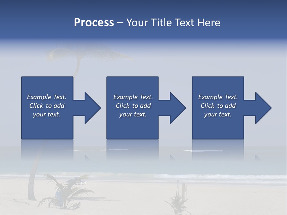 A Palm Tree On A Beach With The Ocean In The Background PowerPoint Template