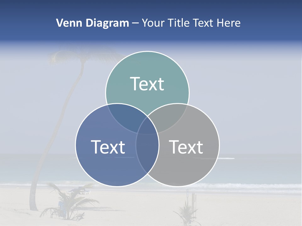 A Palm Tree On A Beach With The Ocean In The Background PowerPoint Template