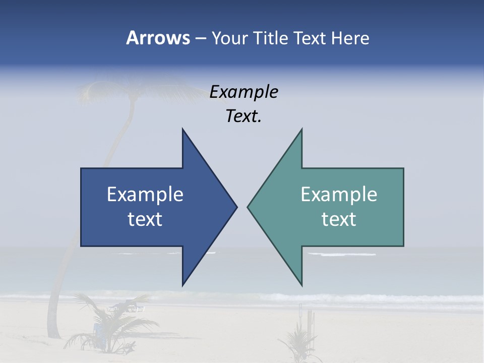 A Palm Tree On A Beach With The Ocean In The Background PowerPoint Template