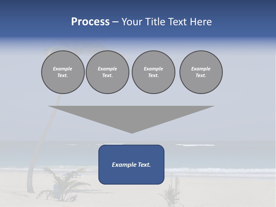 A Palm Tree On A Beach With The Ocean In The Background PowerPoint Template