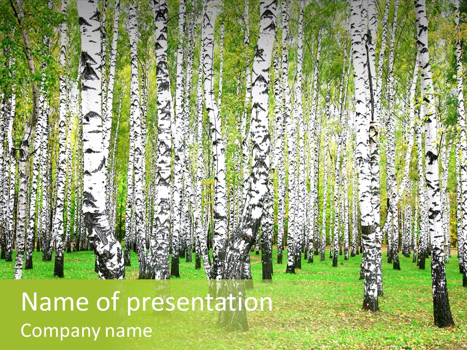 Shade Scene Grove PowerPoint Template