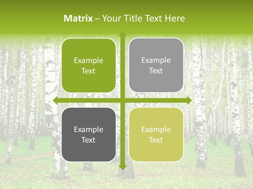 Shade Scene Grove PowerPoint Template