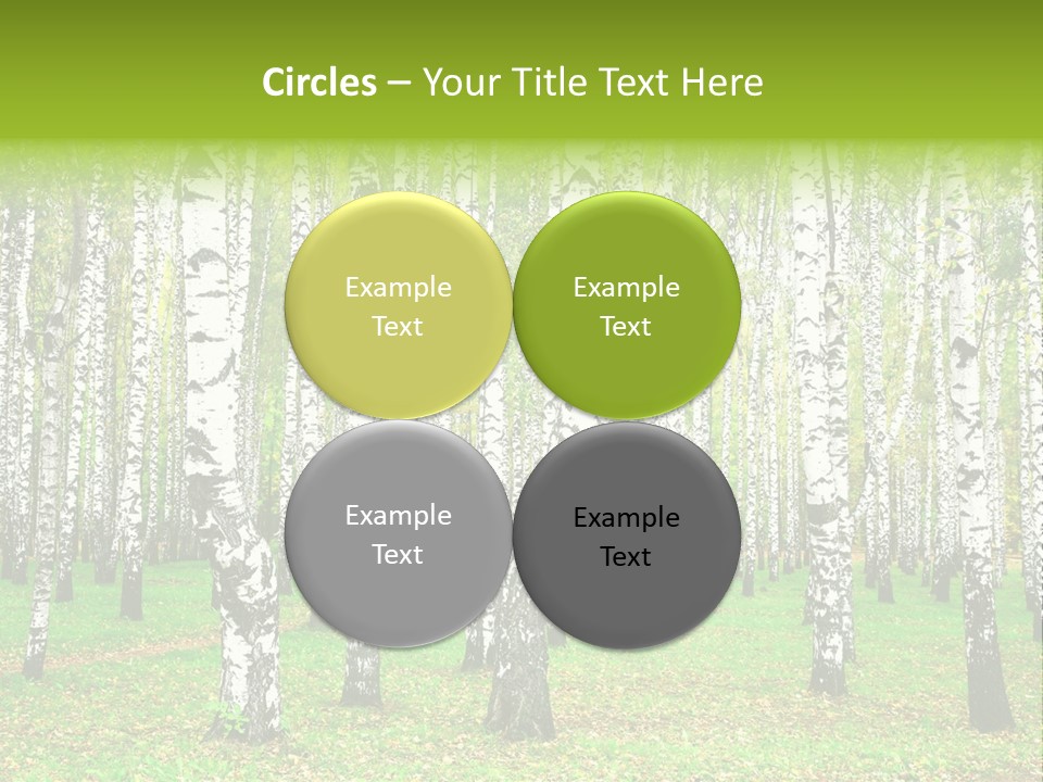 Shade Scene Grove PowerPoint Template