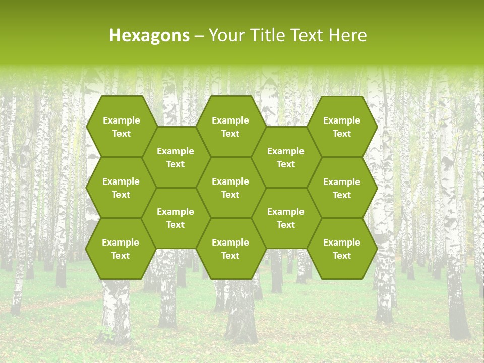 Shade Scene Grove PowerPoint Template