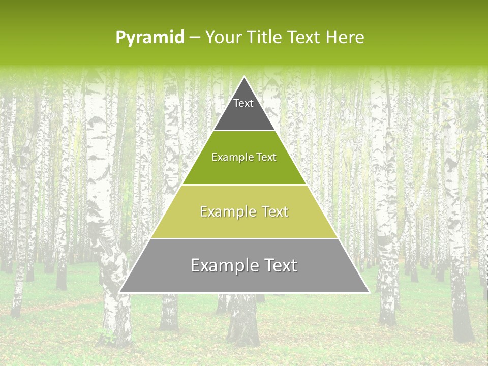 Shade Scene Grove PowerPoint Template