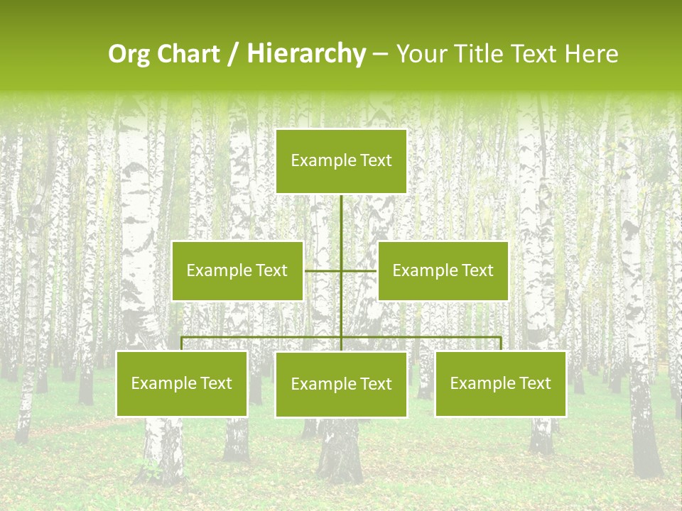 Shade Scene Grove PowerPoint Template