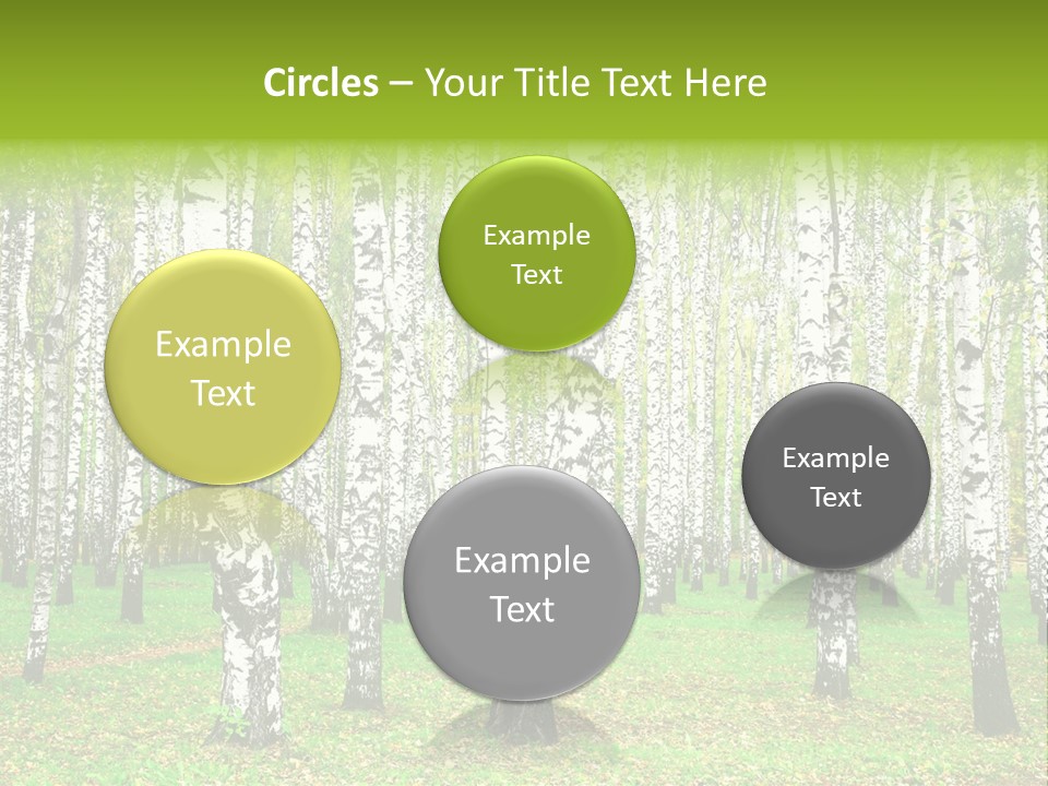 Shade Scene Grove PowerPoint Template