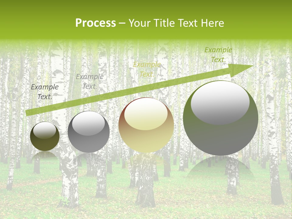 Shade Scene Grove PowerPoint Template
