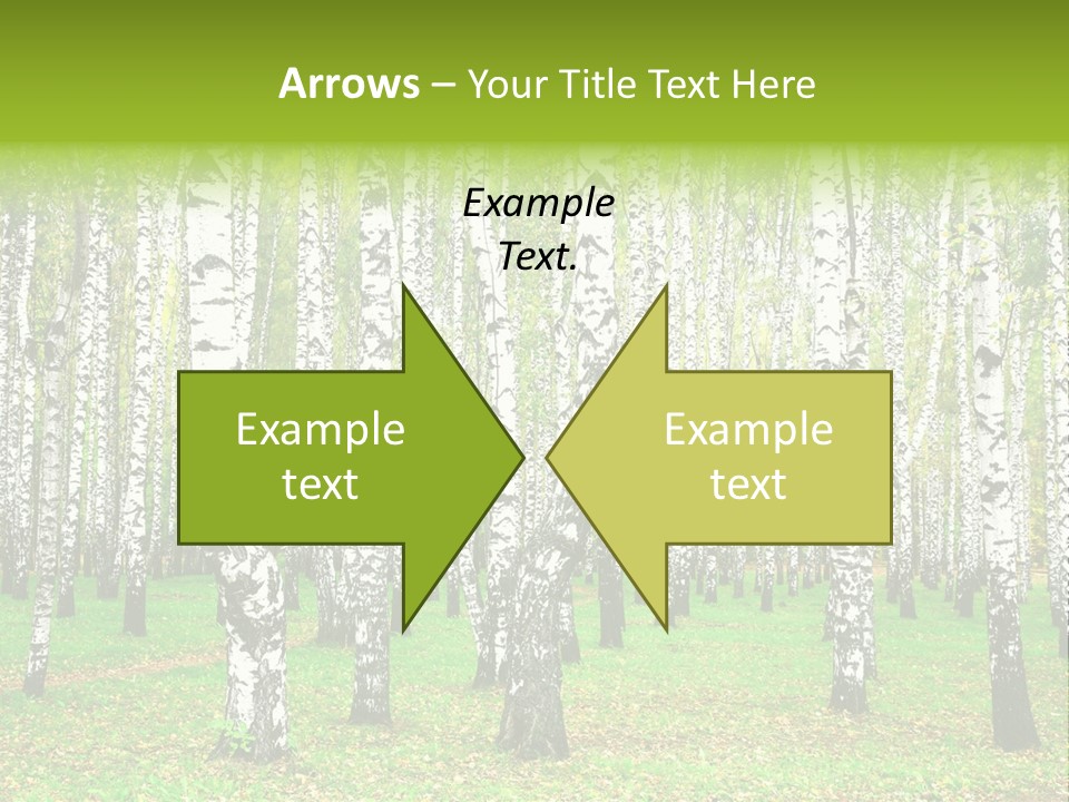 Shade Scene Grove PowerPoint Template