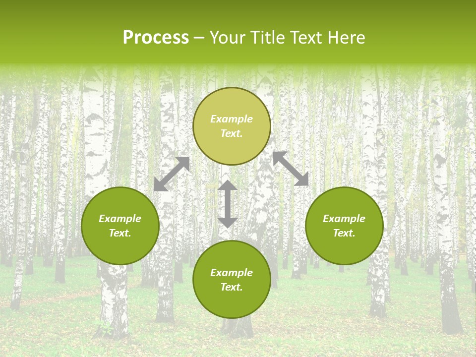 Shade Scene Grove PowerPoint Template