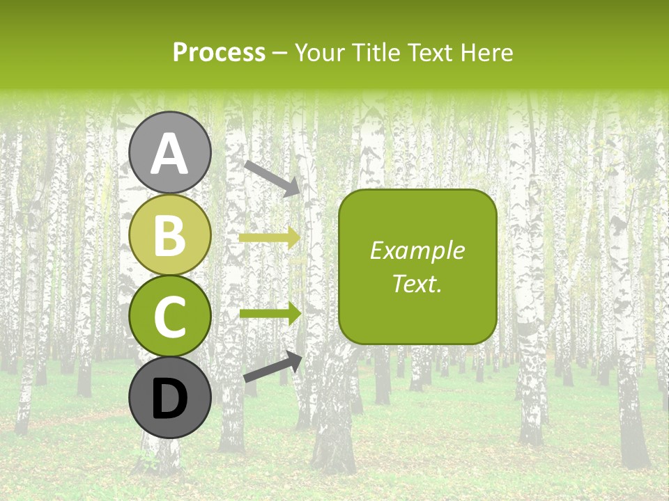 Shade Scene Grove PowerPoint Template