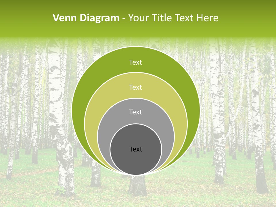 Shade Scene Grove PowerPoint Template