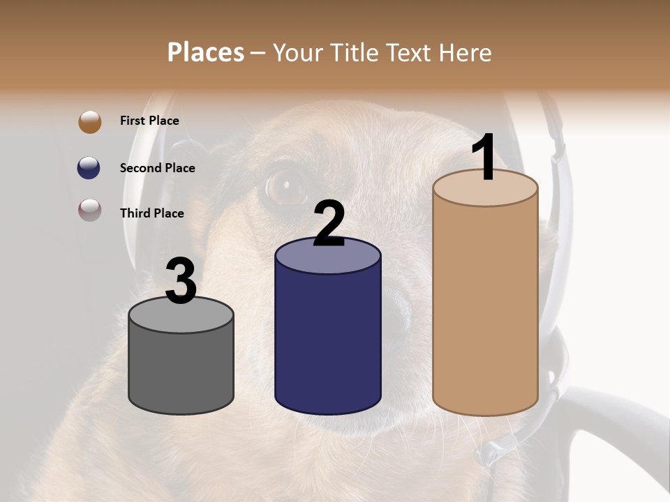Puppy Domestic Background PowerPoint Template
