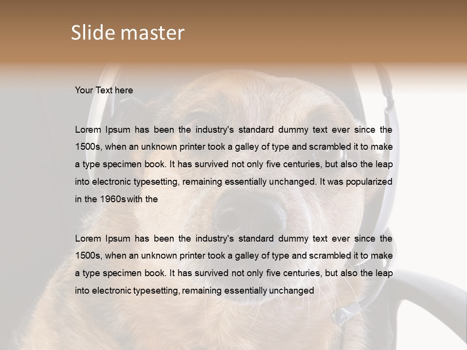 Puppy Domestic Background PowerPoint Template
