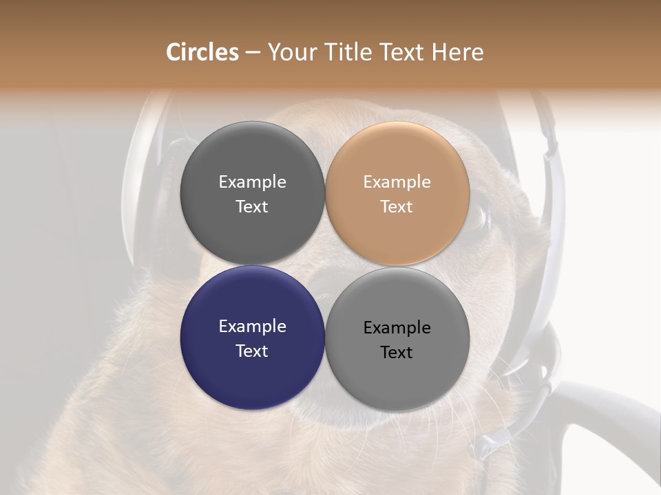 Puppy Domestic Background PowerPoint Template