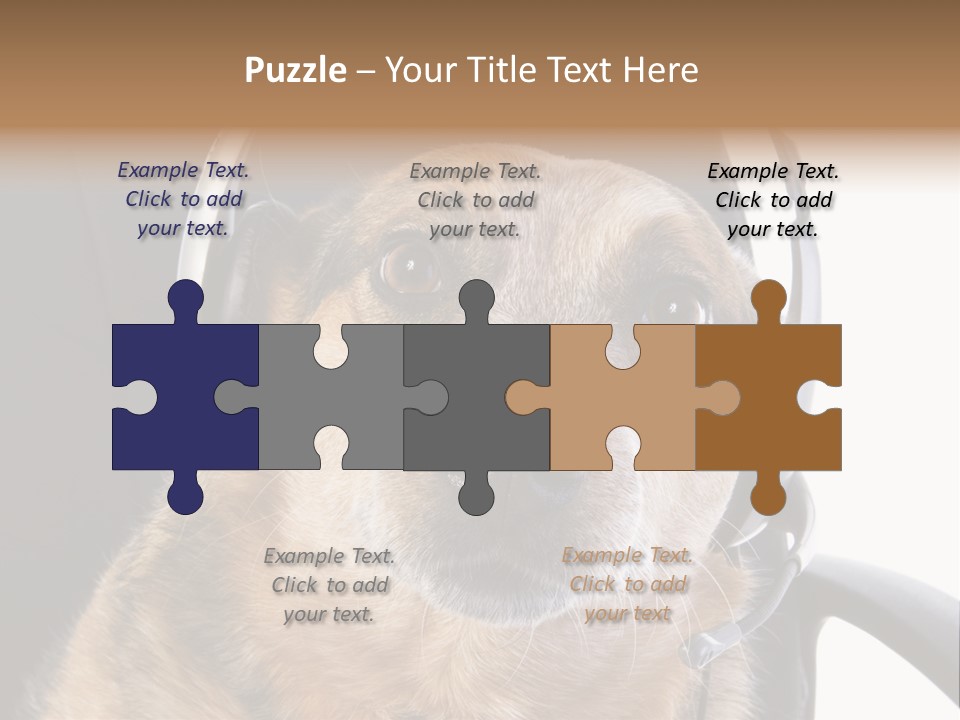 Puppy Domestic Background PowerPoint Template