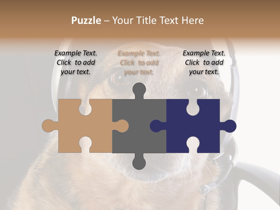 Puppy Domestic Background PowerPoint Template