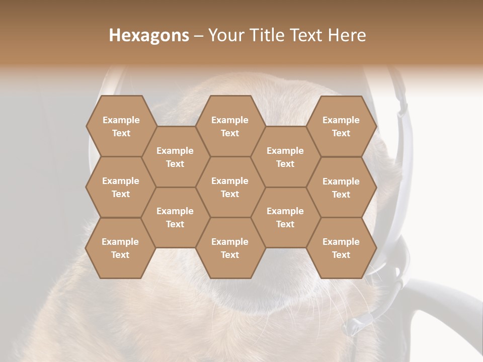 Puppy Domestic Background PowerPoint Template