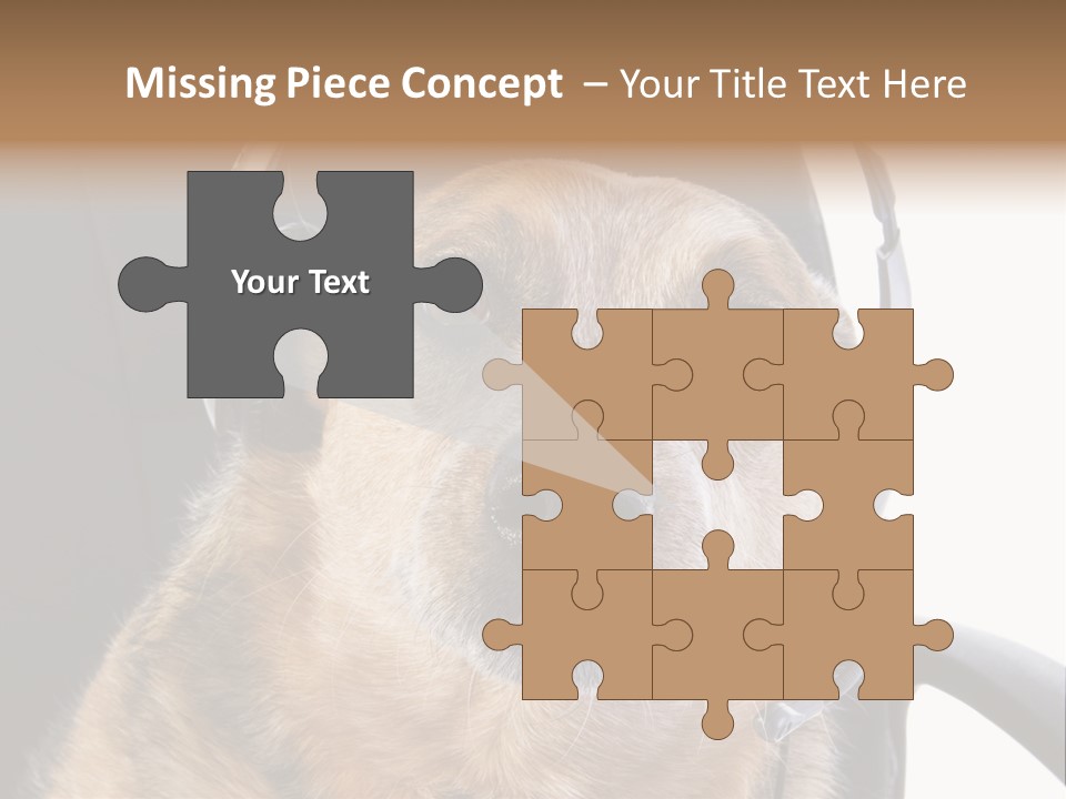 Puppy Domestic Background PowerPoint Template