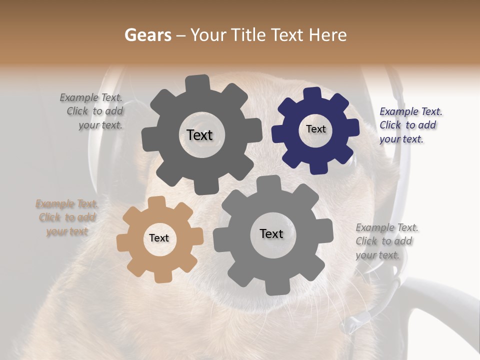 Puppy Domestic Background PowerPoint Template