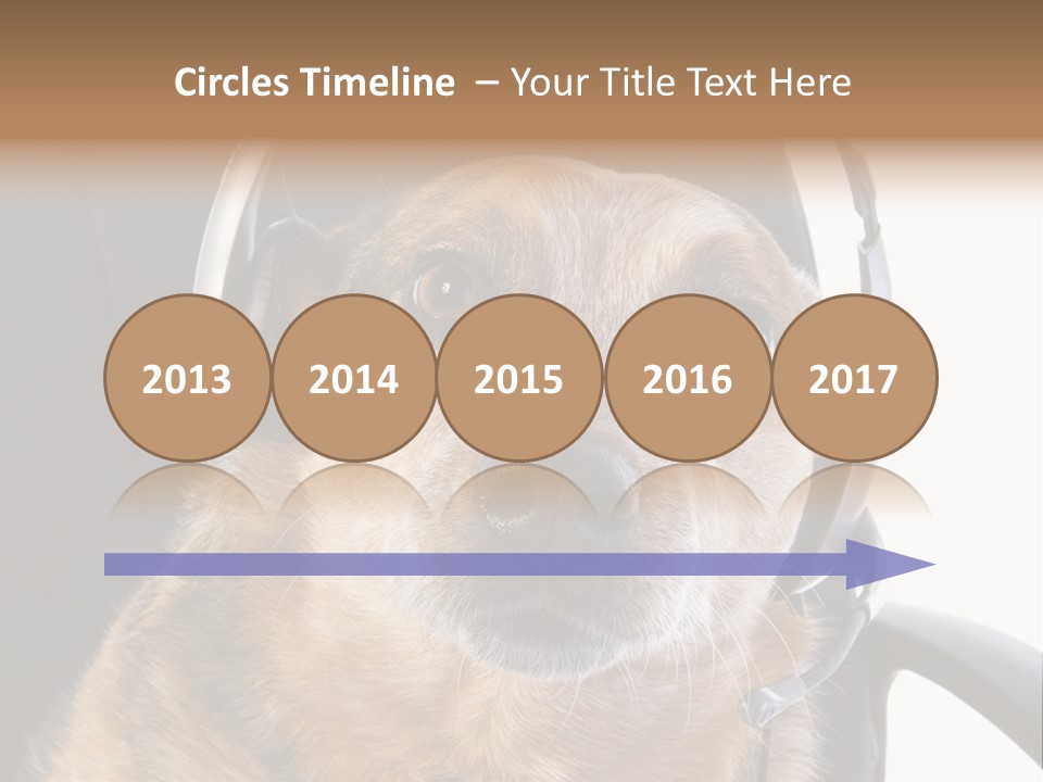 Puppy Domestic Background PowerPoint Template