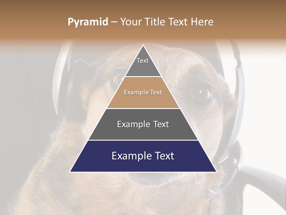 Puppy Domestic Background PowerPoint Template