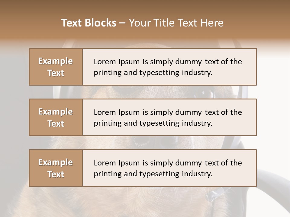 Puppy Domestic Background PowerPoint Template