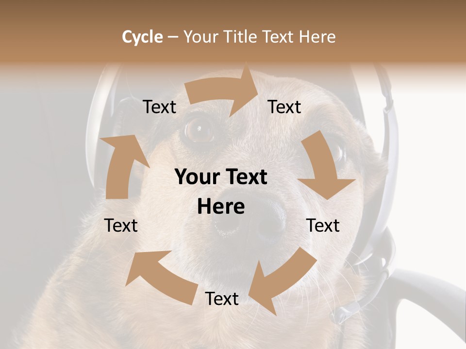 Puppy Domestic Background PowerPoint Template