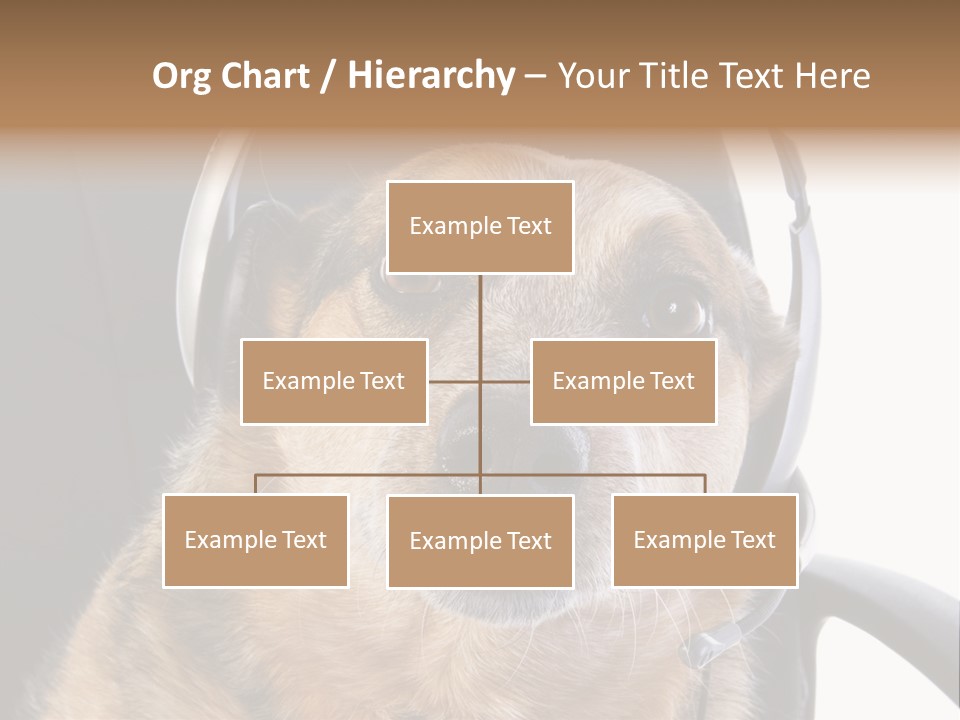 Puppy Domestic Background PowerPoint Template
