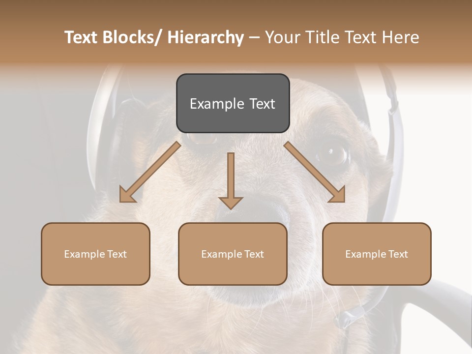 Puppy Domestic Background PowerPoint Template