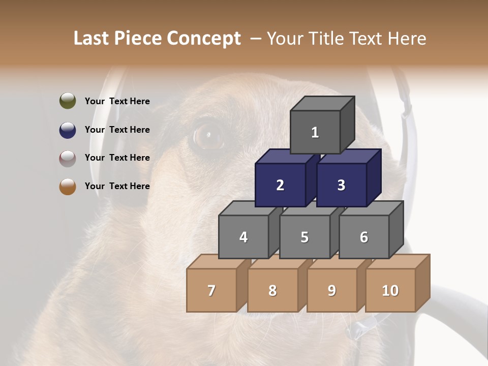 Puppy Domestic Background PowerPoint Template