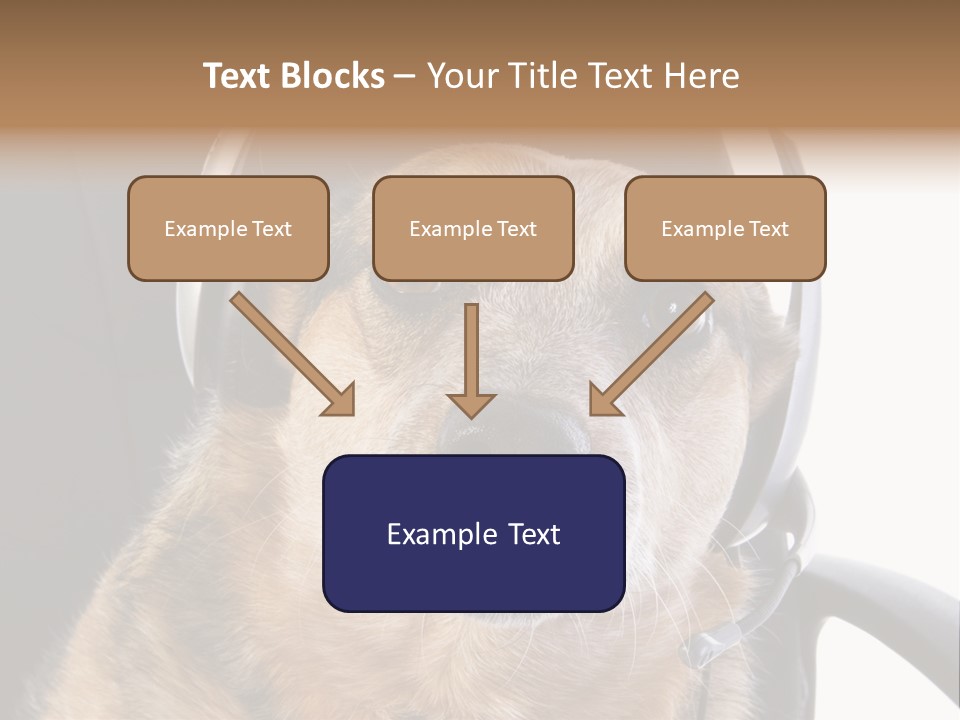 Puppy Domestic Background PowerPoint Template