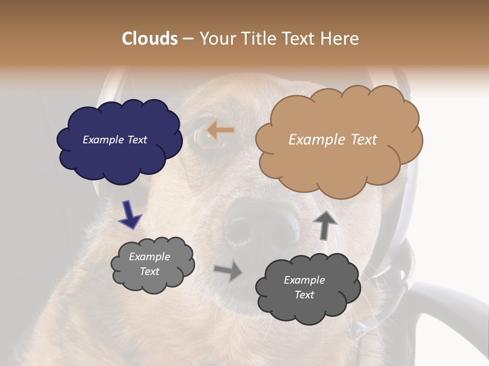 Puppy Domestic Background PowerPoint Template
