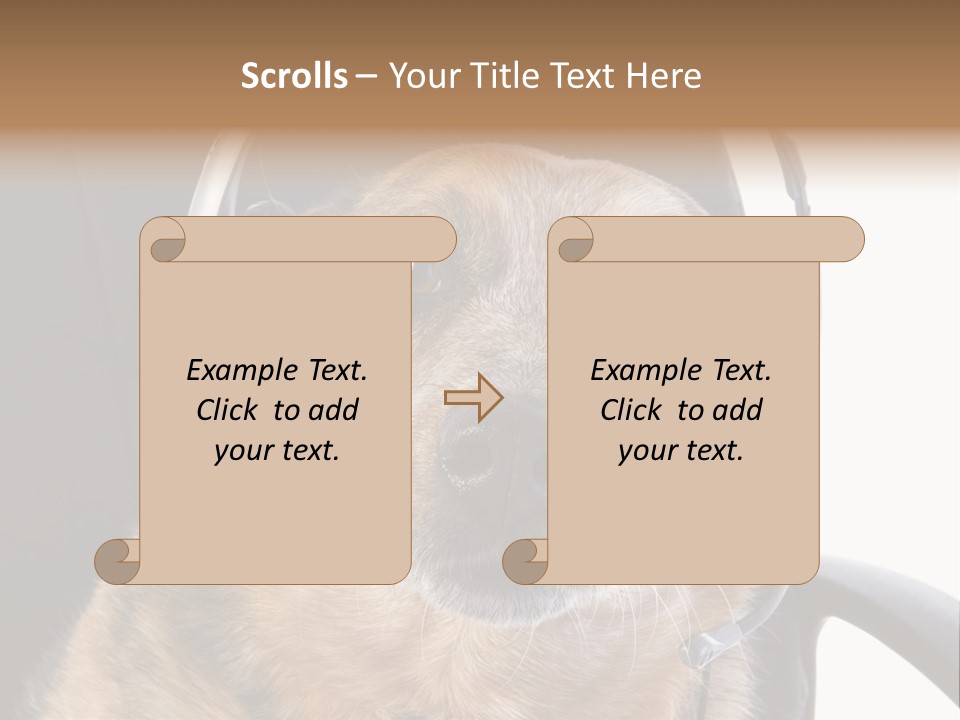 Puppy Domestic Background PowerPoint Template