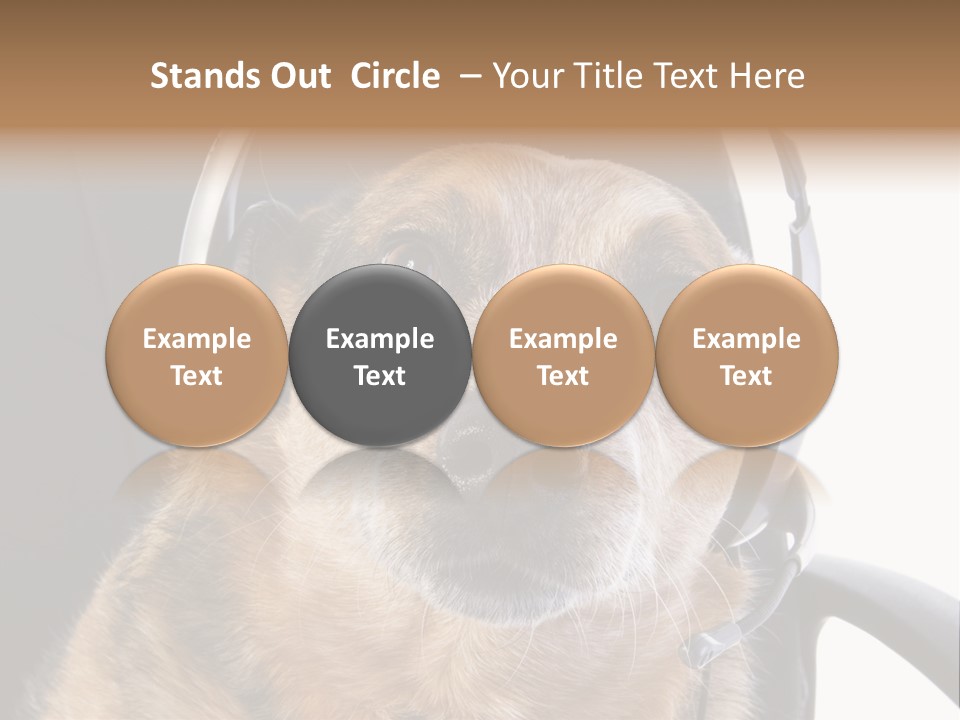 Puppy Domestic Background PowerPoint Template