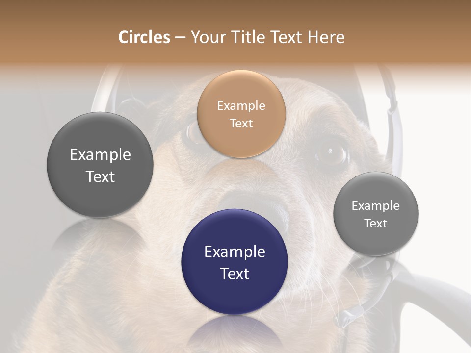 Puppy Domestic Background PowerPoint Template