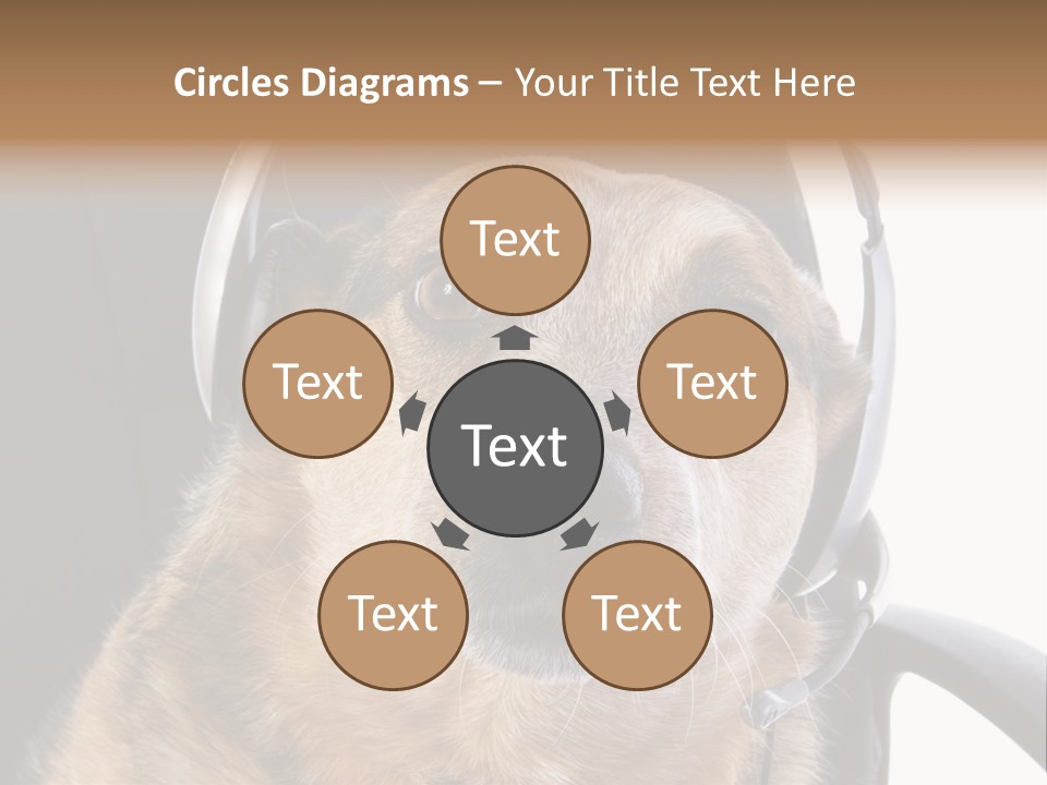 Puppy Domestic Background PowerPoint Template