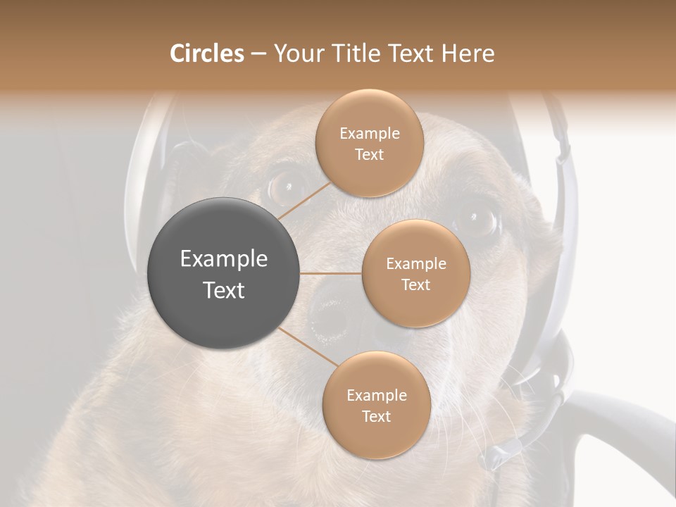 Puppy Domestic Background PowerPoint Template