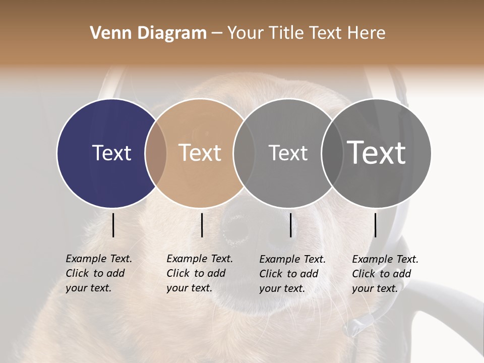 Puppy Domestic Background PowerPoint Template