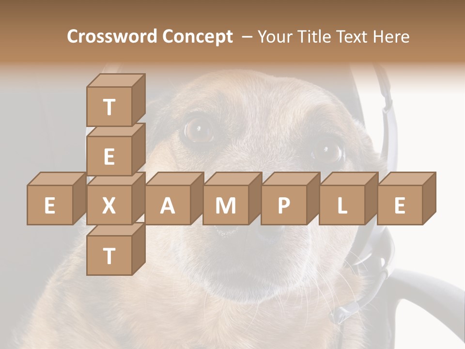 Puppy Domestic Background PowerPoint Template