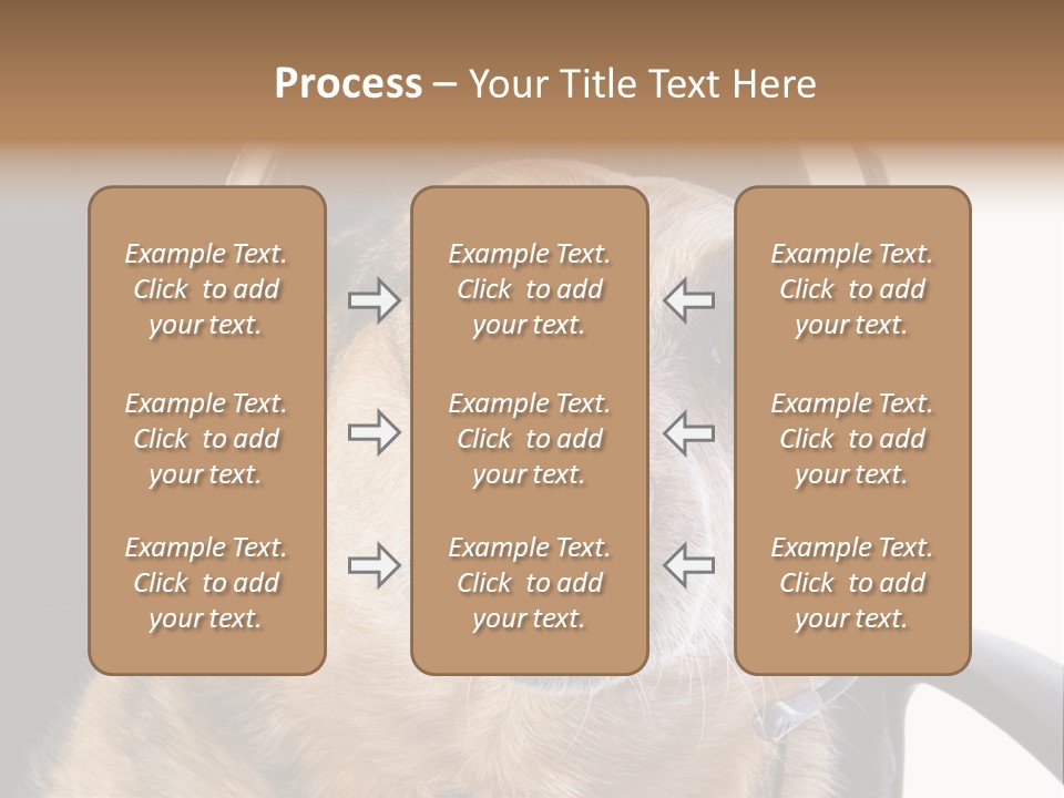 Puppy Domestic Background PowerPoint Template