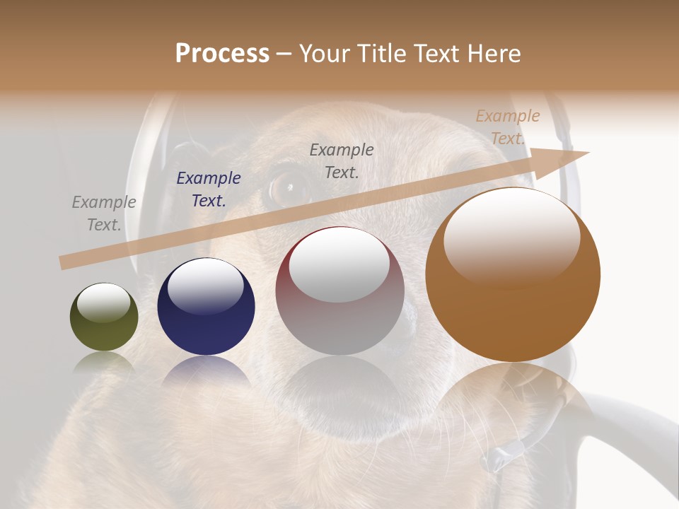 Puppy Domestic Background PowerPoint Template