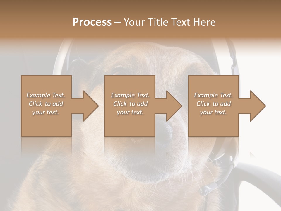 Puppy Domestic Background PowerPoint Template