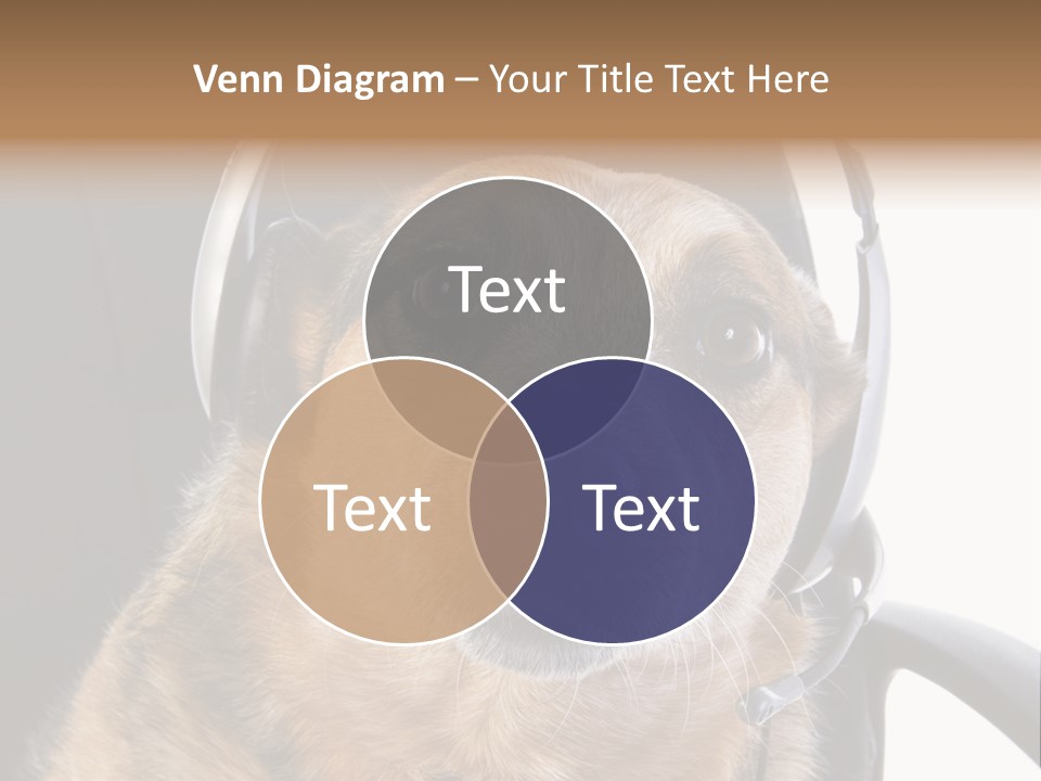 Puppy Domestic Background PowerPoint Template