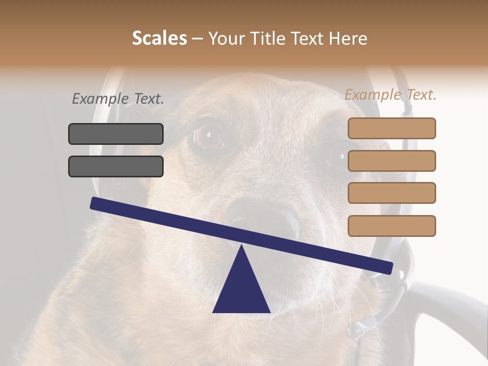 Puppy Domestic Background PowerPoint Template