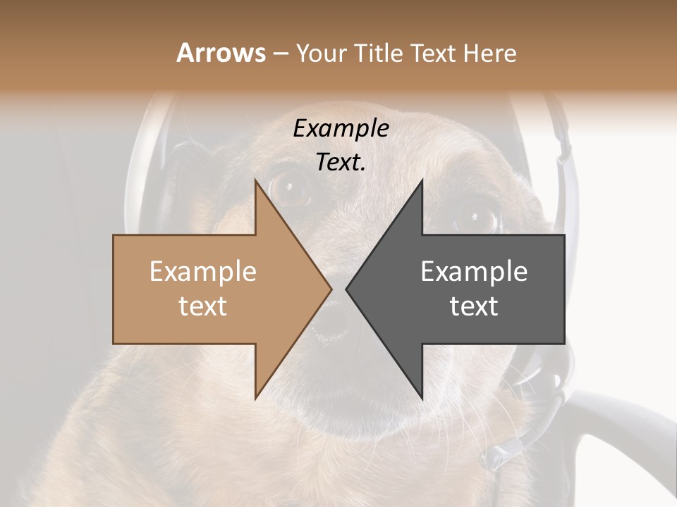 Puppy Domestic Background PowerPoint Template