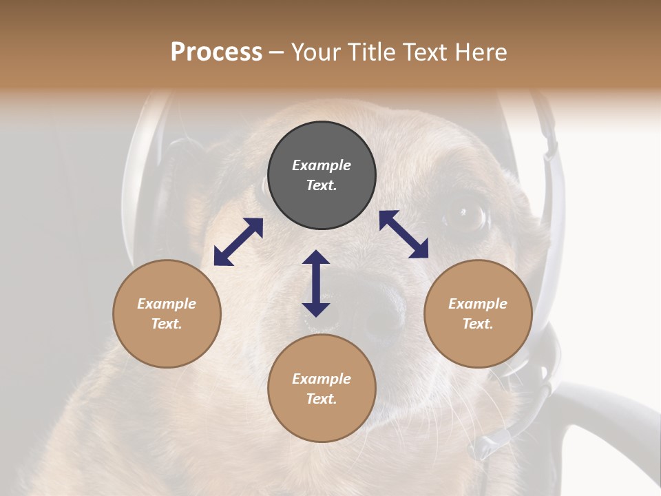 Puppy Domestic Background PowerPoint Template